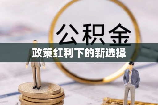 满州政策红利下的新选择